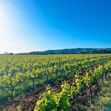 Charmant Studio Apartment *