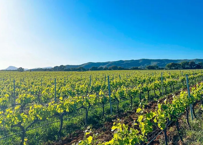 Charmant Studio Διαμέρισμα *